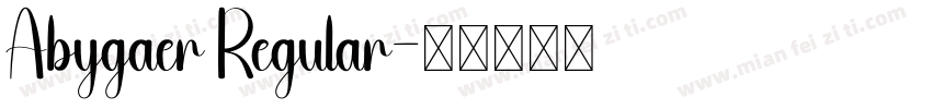Abygaer Regular字体转换
